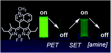 Multi-State Amine Sensing by Electron Transfers in a BODIPY Probe