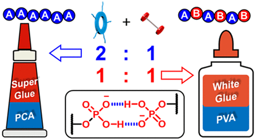 Tunable Adhesion from Stoichiometry-controlled and Sequence-defined Supramolecular Polymers Emerges Hierarchically from Cyanostar-stabilized Anion-anion Attractions