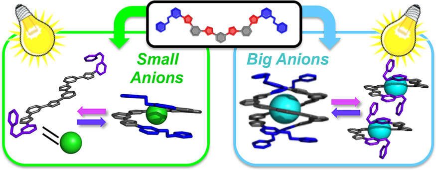 Allosteric Control of Photofoldamers for Selecting between Anion Regulation and Double-to-Single Helix Switching