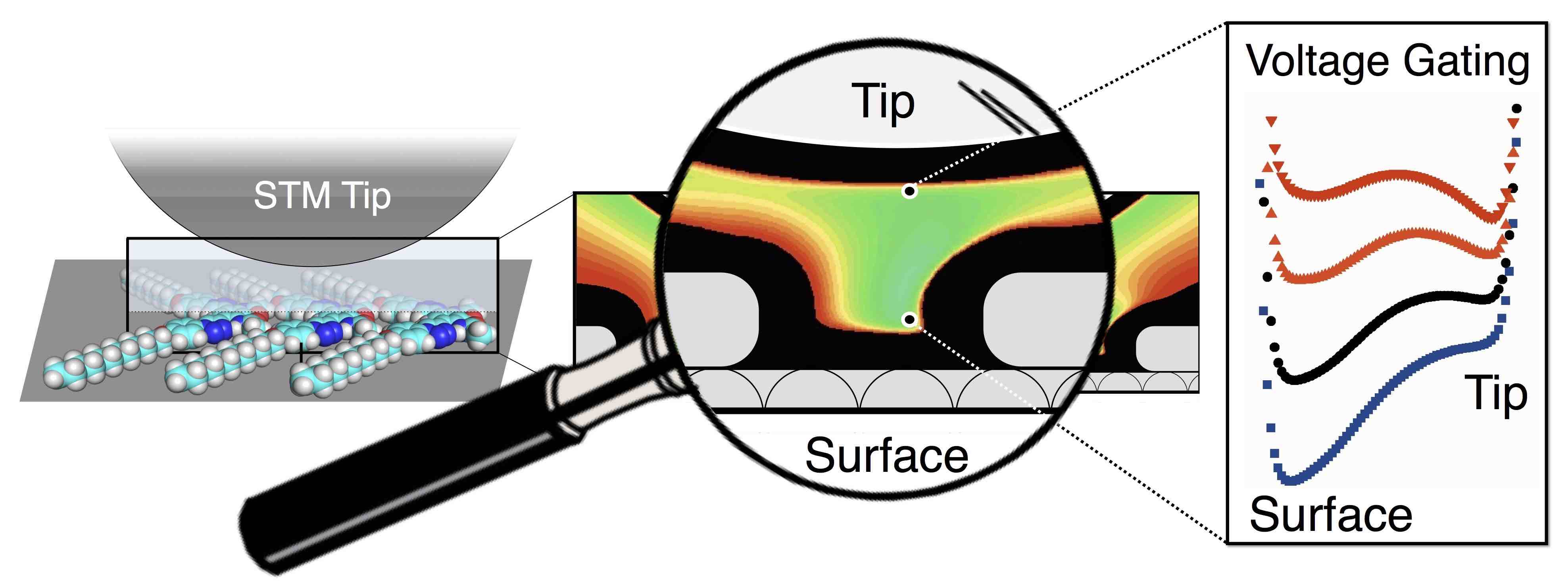 Physical and chemical model of ion stability and movement within the dynamic and voltage-gated STM tip-surface tunneling junction