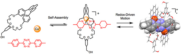 Molecular Machines and Assemblies