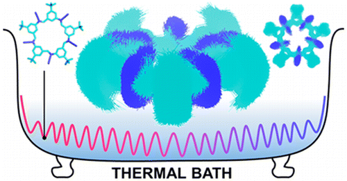 Flexibility Coexists with Shape-Persistence in Cyanostar Macrocycles