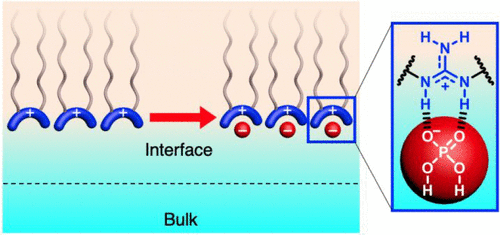 Interfacial Supramolecular Structures of Amphiphilic Receptors Drive Aqueous Phosphate Recognition